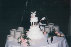 Wedding Destination Fairfax VA